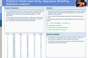 Portfolio for Business Analytics